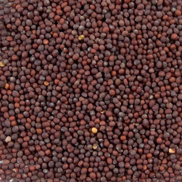 Mustard Seed Whole Brown- 50g