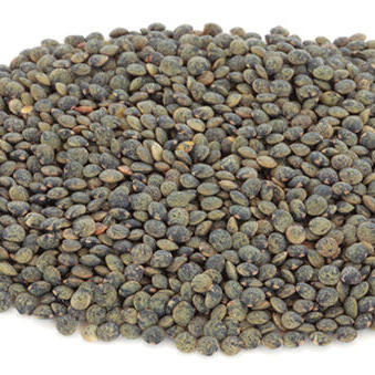 Organic french lentils