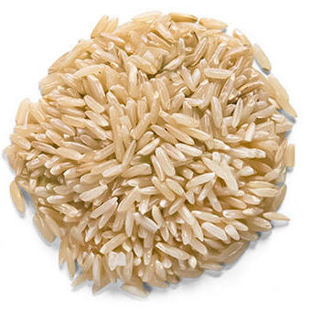 Riz brun à grain long-bio